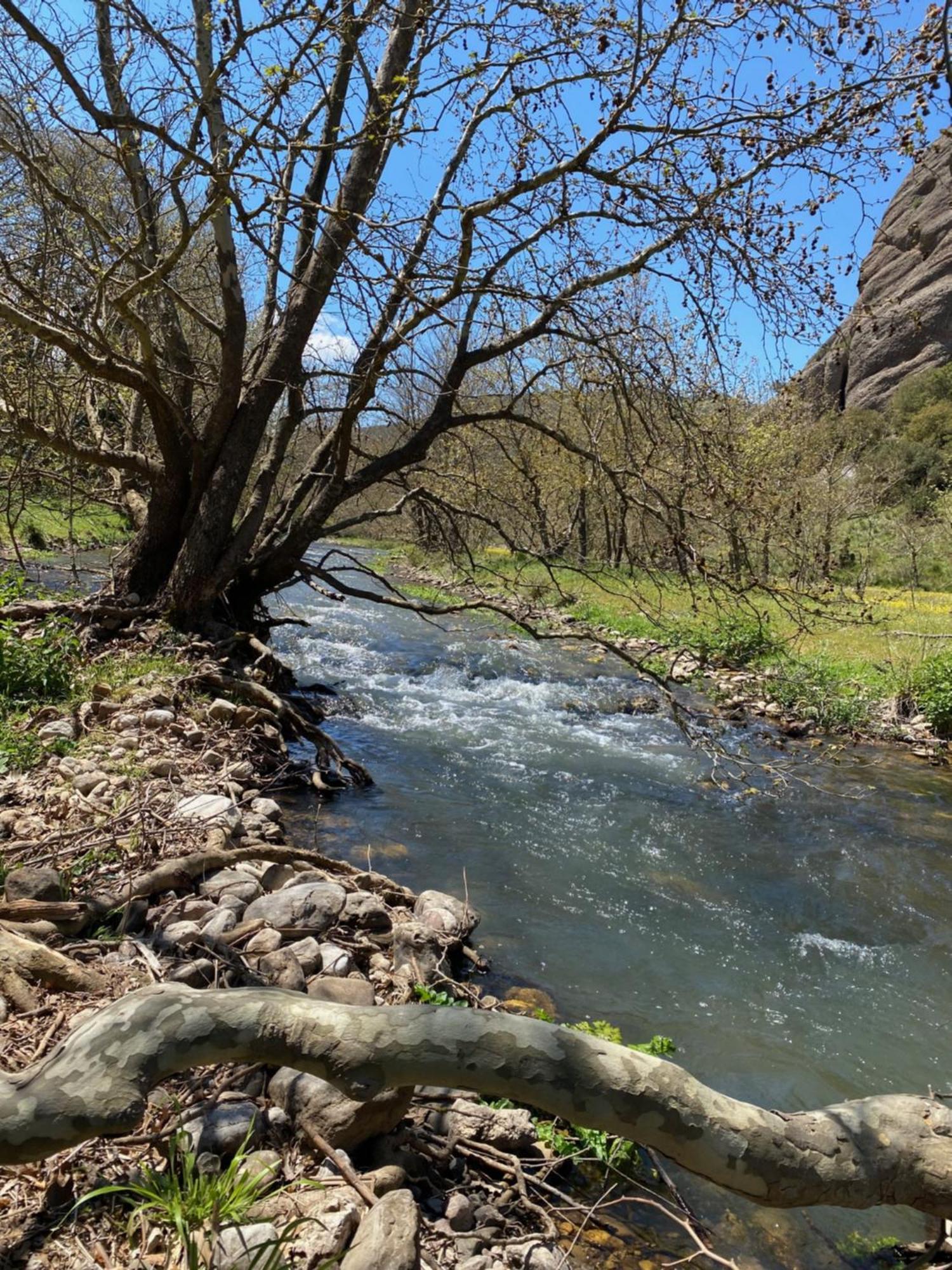 Archontiko Zafeiropoulou Hotel Kalavryta Buitenkant foto